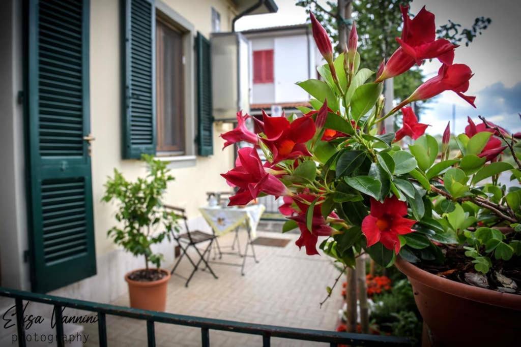 Apartmán Casa Letizia Ponsacco Exteriér fotografie