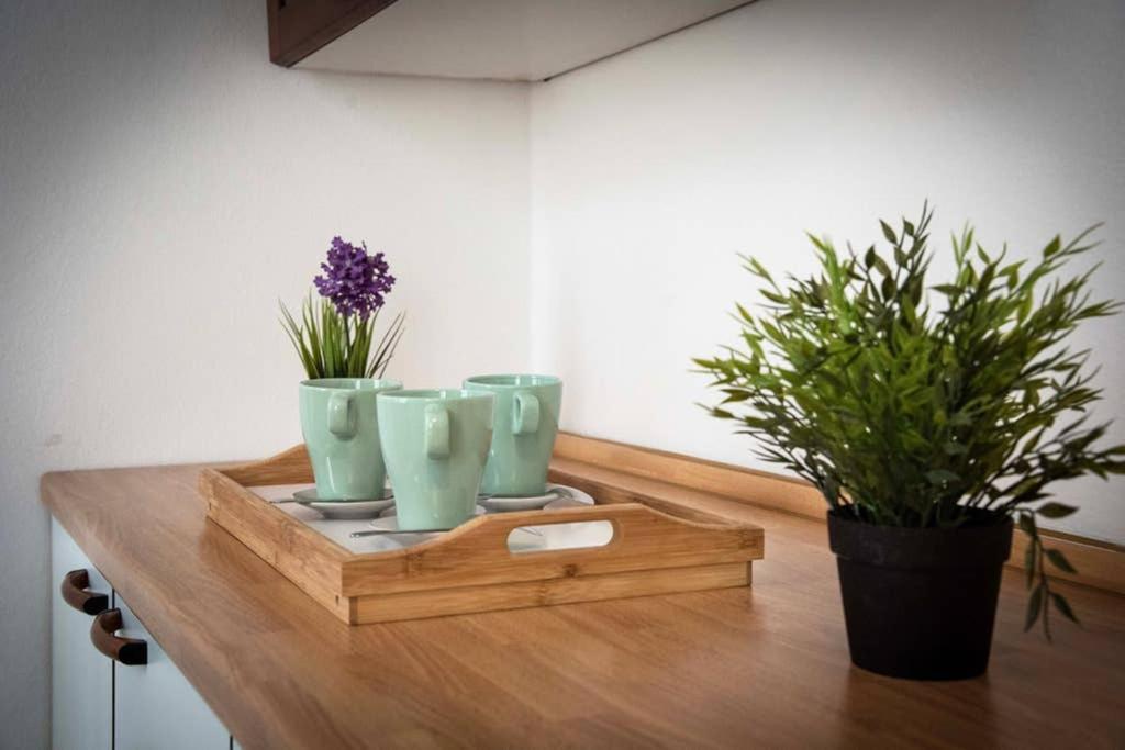 Apartmán Casa Letizia Ponsacco Exteriér fotografie