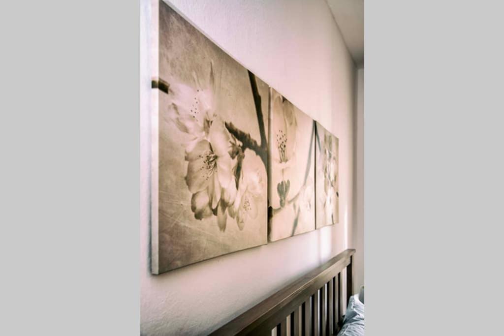 Apartmán Casa Letizia Ponsacco Exteriér fotografie